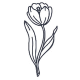 Tulip